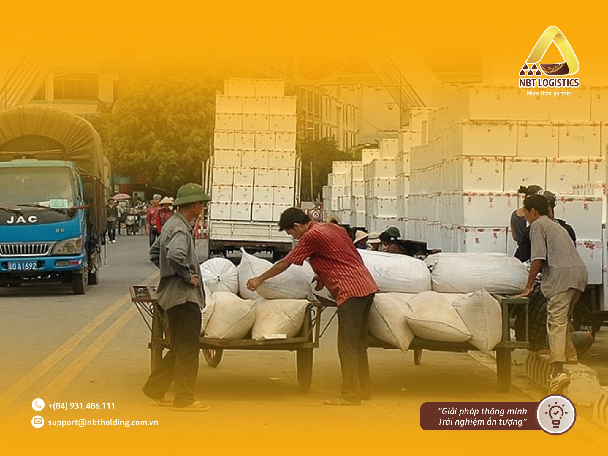 nh bài viết - 2024-06-13T145743.354